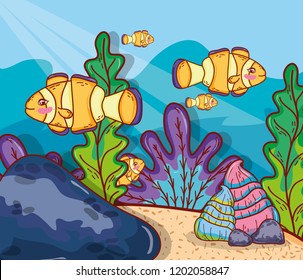 aquatic marine life