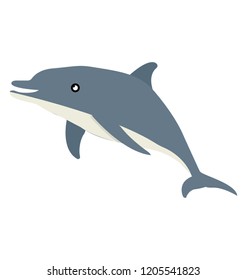 
An aquatic placental marine mammal, whale 
