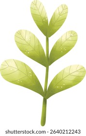 Aquatic plants, wetland decorations, natural plants