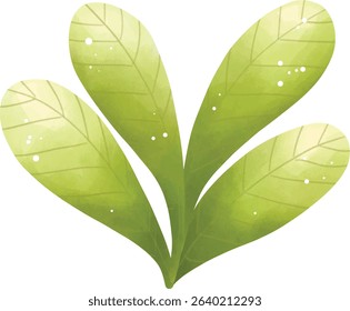 Aquatic plants, wetland decorations, natural plants
