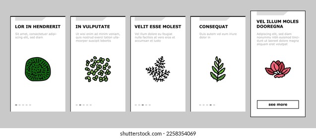 Aquatic Seaweed Natural Plant onboarding mobile vector. Red Ludwigia And Marimo Ball, Anubia Nana And Vallisneria Spiralis, Hydrophilia Polyspermy And Elodea Densa Aquatic Seaweed Color Illustrations