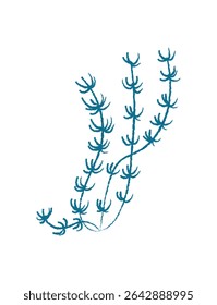 Silhueta de algas aquáticas. Representação de plantas marinhas no oceano. Conceito de vida subaquática, estilo visual plano, ideal para fundos de verão ou projetos aquáticos.