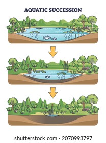 Aquatic succession and ecological pond drying process stages outline diagram. Geology steps with glacial lake development to dry up vector illustration. Water evaporation and land overgrow timeline.