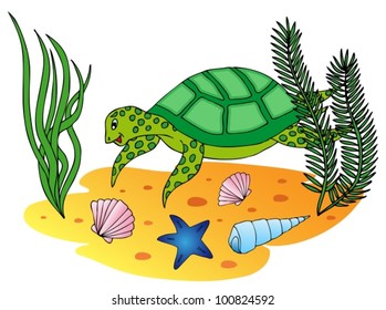 Aquatic turtle in the ocean - vector illustration.