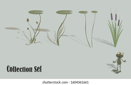 Aquatic vegetation and life. Water lilies, reeds, frog. Set of vector illustrations for design.