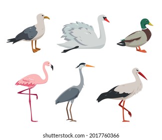 Aquatic and waterfowl Birds collection. Duck, flamingo, seagull, stork, heron and swan in different poses. Set of Vector icons illustration isolated on white background.