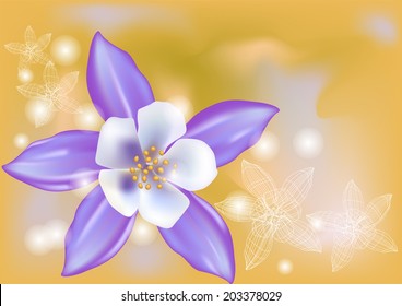 aquilegia