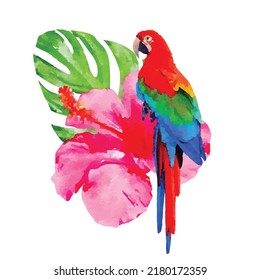 Ara king parrot with green Monstera palm leaf and pink hibiscus flower isolated on white background. Swiss cheese plant. Watercolor style. Vector illustration. Clipart