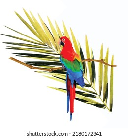 Ara king parrot sitting on branch with palm tree isolated on white background. Swiss cheese plant. Abstract brush stroke. Watercolor effect. Vector illustration. Clipart