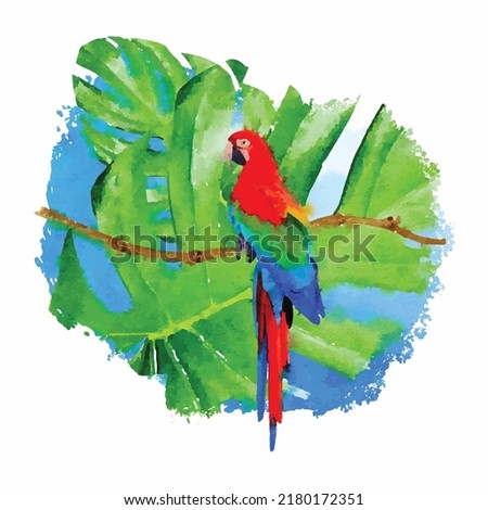 Ara king parrot sitting on branch with green Monstera palm leaf isolated on white background. Swiss cheese plant. Abstract brush stroke. Watercolor effect. Vector illustration. Clipart