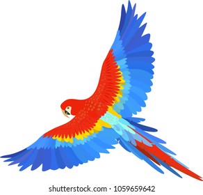 Ara macaw parrot spread wings vector