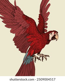 Ara parrot bird. Vector hand drawn illustration.