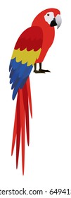Ara parrot. Cute vector illustration. Cartoon bird.