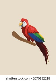 Ara parrot. Isolated vector tropical design element. Tropical birds on the bright background.