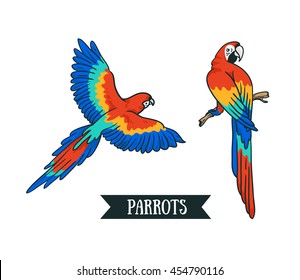 Ara Papagei. Einzeln vektorielles tropisches Design-Element. Tropische Vögel auf weißem Hintergrund.