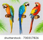 Ara parrot. Macaw. Photo realistic 3d vector icon set