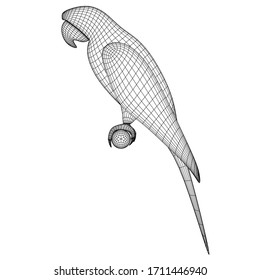 Ara parrot polygonal lines illustration. Abstract vector parrot on the white background