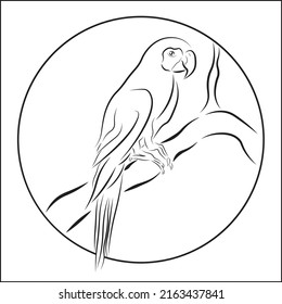 Ara parrot. Parrot silhouette, vector drawing on a white background, logo, icon.