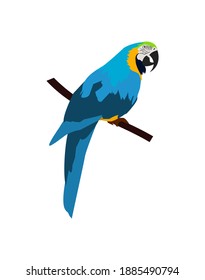 Vector de loro arábigo. Ave de los bosques amazónicos en la ilustración de diseño plano. Fauna de Sudamérica. Loro arábigo colorido para íconos, afiches, libros infantiles que ilustran. Aislado en blanco.