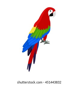 Ara parrot vector. Birds of Amazonian forests in flat design illustration. Fauna of South America. Beautiful Ara parrot on branch posters, childrens books illustrating. Isolated on white.