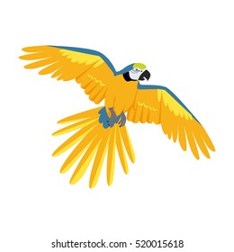 Ara parrot vector. Birds of Amazonian forests in flat design illustration. Fauna of South America. Flying colorful Ara parrot for icons, posters, childrens books illustrating. Isolated on white.