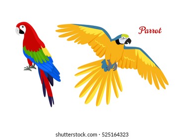 Ara parrot vector. Birds of Amazonian forests in flat design illustration. Fauna of South America. Beautiful colorful Ara parrots for icons, posters, childrens books illustrating. Isolated on white.