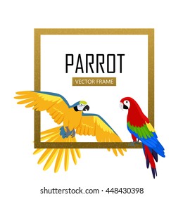 Ara parrot vector frame. Birds of Amazonian forests in flat design isolated on white.