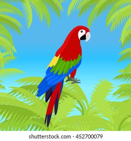 Ara parrot vector frame. Birds of Amazonian forests in flat design illustration. Fauna of South America. Beautiful Ara parrots for icons, posters, childrens books illustrating. Isolated on white.