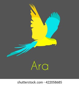 Ara parrot. Vector tropical bird on gray background.