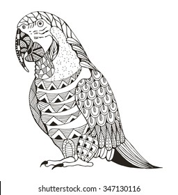 Ara parrot zentangle stylized, vector, illustration, pattern, freehand pencil, hand drawn.