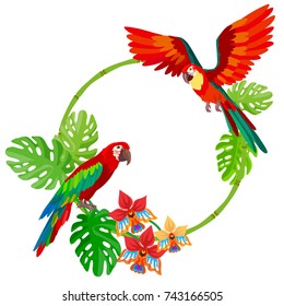 Ara parrots flying and tropical bamboo frame. Palm leaf and exotic flowers on white background. 