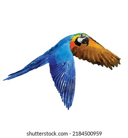 Ara vector illustration. Parrot on white background. Jungle fauna. Tropical wildlife bird. Exotic bird watercolor style. Parrot clipart. Aquarelle style. Clipart for logo, greeting card and design.
