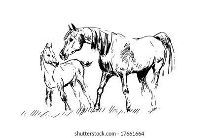 4,092 Mare and foal Stock Vectors, Images & Vector Art | Shutterstock