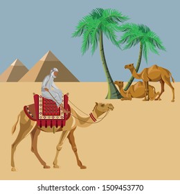 Arab man rides a camel in the desert against the background of Egyptian pyramids and camels lying under palm trees. Vector illustration