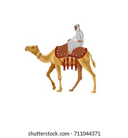 Arab man riding a camel. Vector illustration isolated on white background