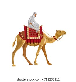 Arab man riding a camel. Vector illustration isolated on white background