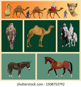 Arabian animals set. Vector illustration of camels, horses, falcon and donkey in realistic style