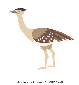 
Arabian bustard icon vector illustration. Cartoon style bird, isolated on a white background