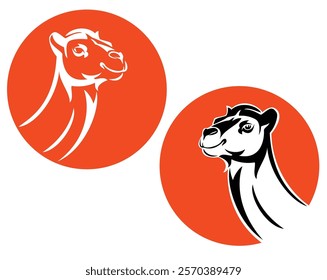 arabian camel black and white vector head portrait outline against red sun circle - desert adventure emblem