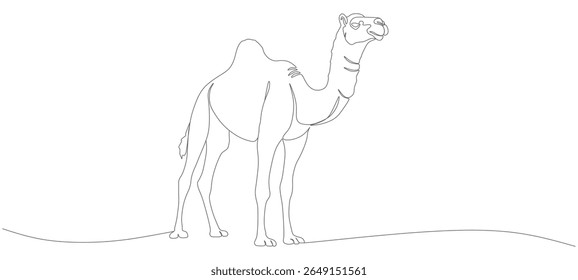 arabian camel continuous line vector design