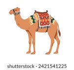 Arabian camel, desert domestic bedoin animal decorated with textile saddle. Arabic mammal profile, standing with traditional fabric decor on hump. Flat vector illustration isolated on white background