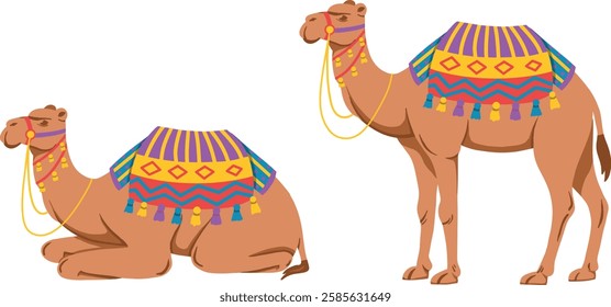 Arabian camel, desert domestic bedoin animal decorated with textile saddle. Arabic mammal profile, standing with traditional fabric decor on hump. Flat vector illustration isolated on white background