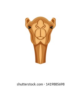 Arabian camel head cute close up portrait, dromedary one-humped camel vector illustration