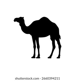 Diseño plano de Vector de silueta de camello árabe sobre fondo blanco.