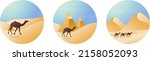 Arabian Desert Camel Pyramid Vector Illustration Background