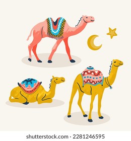 Arabian Desert Camels Vector Isolated Elements Set