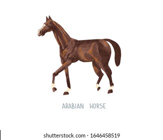 arabian horse hand drawing sketch vector illustration