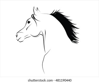 Arabian horse head with flying mane vector illustration