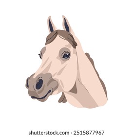 Cabeça de cavalo árabe, garanhão de raça pura da raça árabe. Elegante nobre avatar equino, retrato. Belo animal gracioso. Ilustração de vetor gráfico plano realista isolado no fundo branco