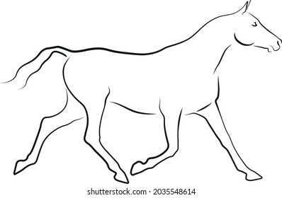 Arabian horse vector outline drawing illustration